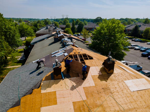 Best Storm Damage Roof Repair  in Burlington, CO