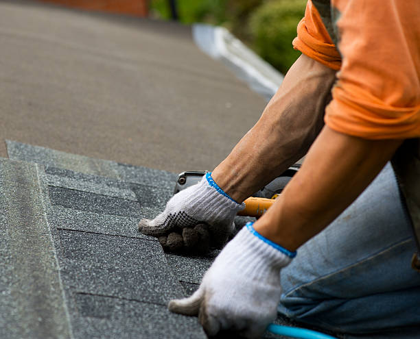 Best Metal Roofing Contractor  in Burlington, CO