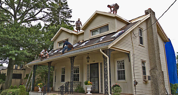 Best Flat Roof Repair Services  in Burlington, CO