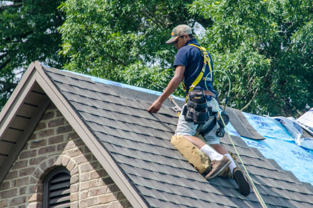 Best Shingle Roofing Installation  in Burlington, CO