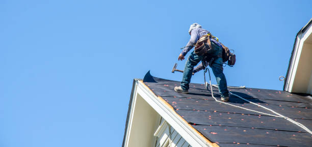 Best Roof Maintenance Services  in Burlington, CO